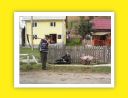 Errumania 2011 D13 (50).jpg